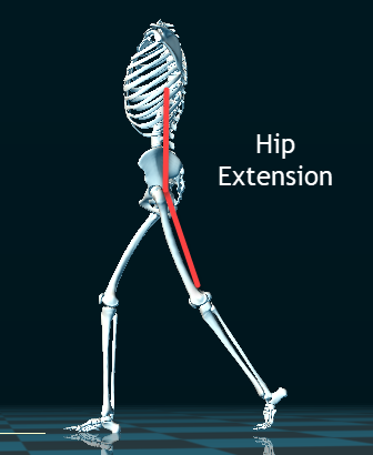 Hip Extension