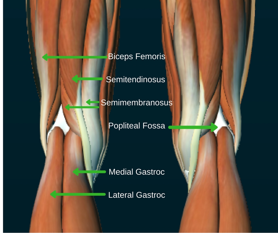 Pain behind store knee